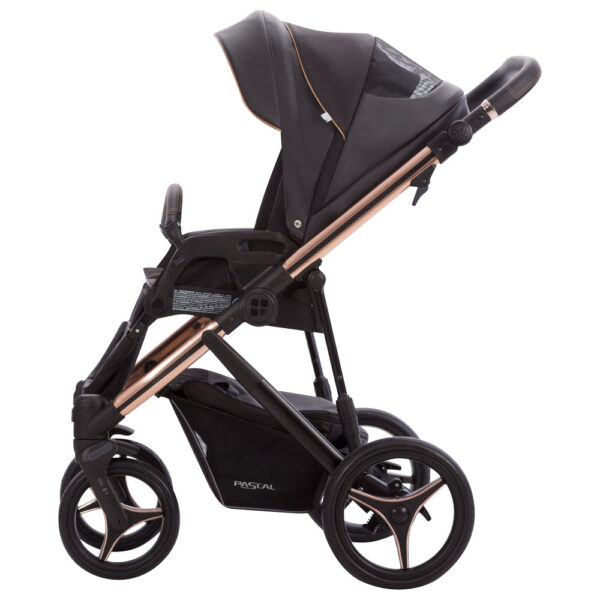 Kolica za bebe Bebetto Pascal Premium Class/platno/eko koža 2/3u1