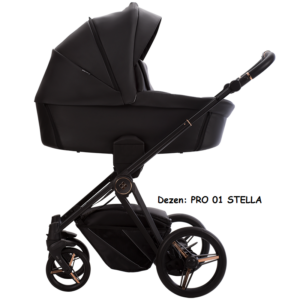 PRO STELLA 01