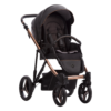 Kolica za bebe Bebetto Pascal Premium Class/platno/eko koža 2/3u1