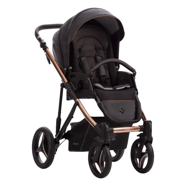 Kolica za bebe Bebetto Pascal Premium Class/platno/eko koža 2/3u1