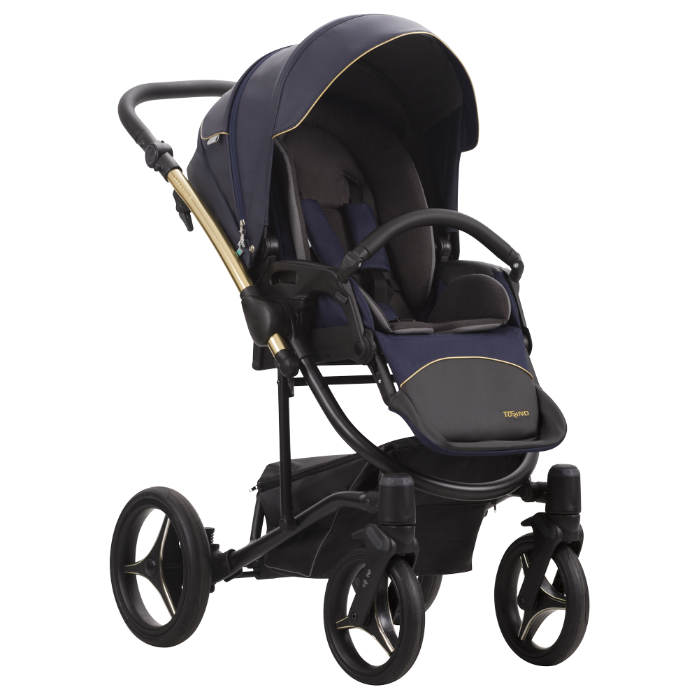 Kolica za bebe Bebetto Torino Premium Class 2/3 u 1