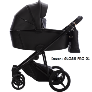 GLOSS PRO 01