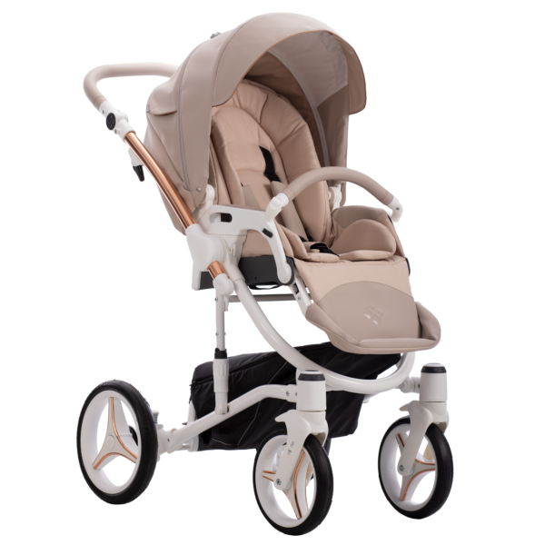 Kolica za bebe Bebetto Torino Premium Class 2/3 u 1