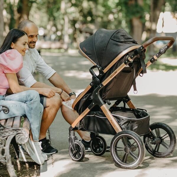 Kolica za bebe Coccolle MELORA set 3u1