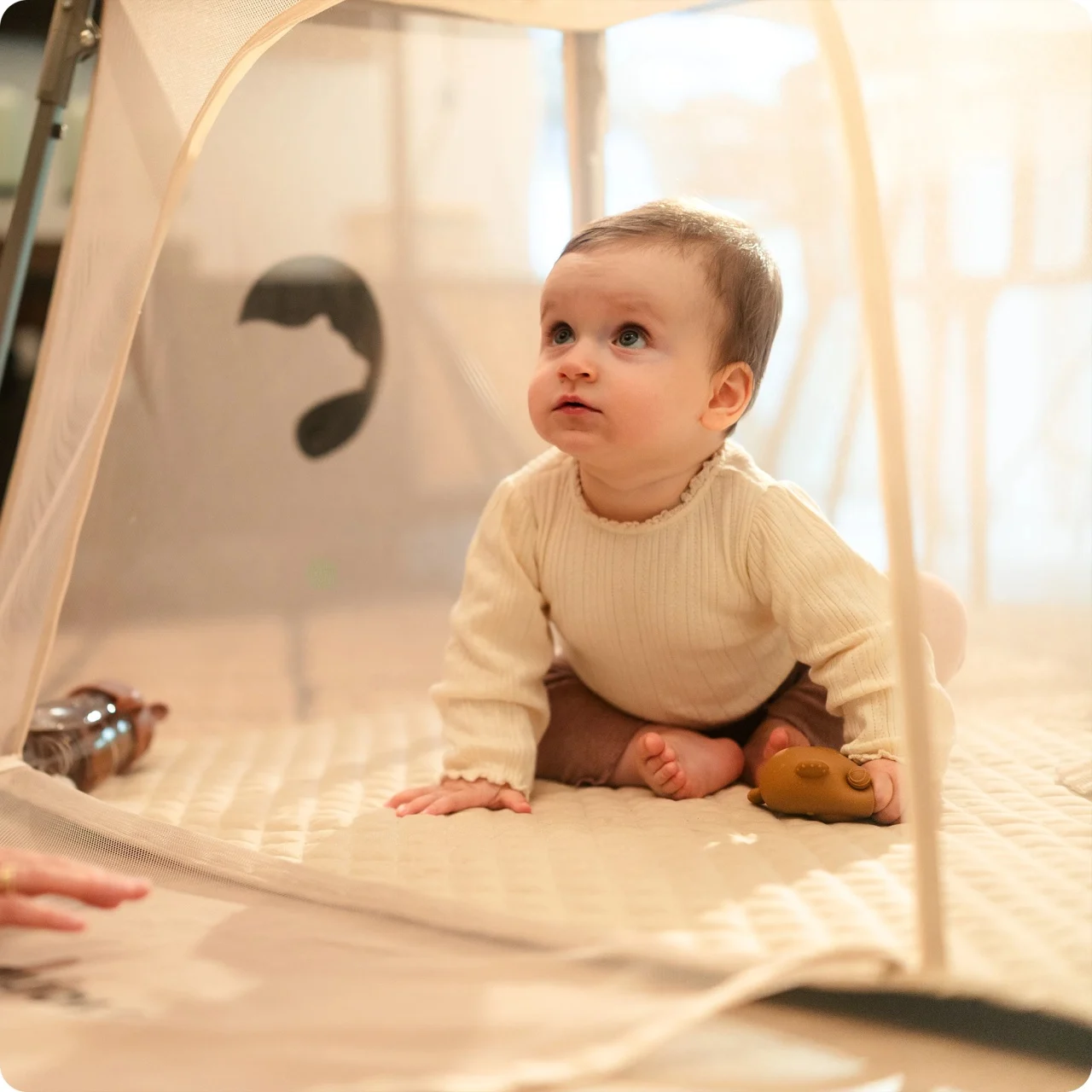 Prenosivi krevetac za bebe Kidnort BLEKE 2u1 Prenosivi krevetac za bebe Kidnort BLEKE 2u1
